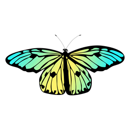 Diseño de mariposa de jardín de colores Diseño PNG