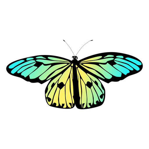 Download Colored Garden Butterfly Design Transparent Png Svg Vector File