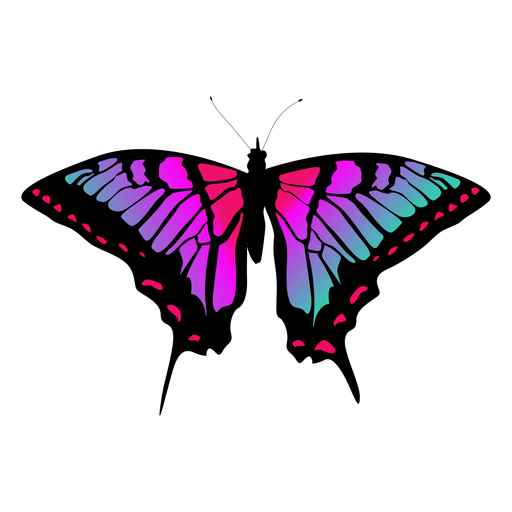 Vetor de borboleta colorida Desenho PNG