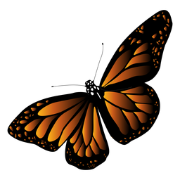 Vetor detalhado de borboleta preta laranja Desenho PNG