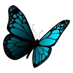 Vector de mariposa azul detallado Vector de mariposa azul detallado