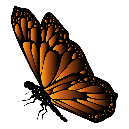 Detaillierter Schmetterlingsvektor PNG-Design