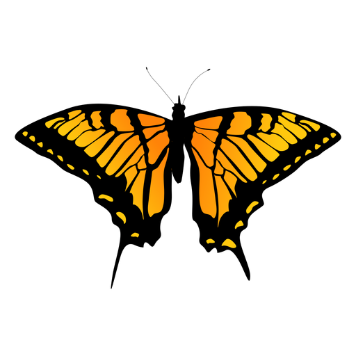 Detailliertes orange Schmetterlingsdesign PNG-Design