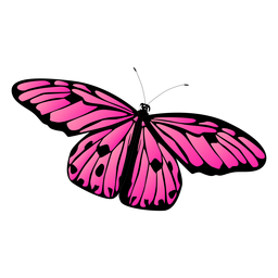 Detaillierte Rosa Schmetterling Vektor Schmetterling Transparente Png Svg Vektor