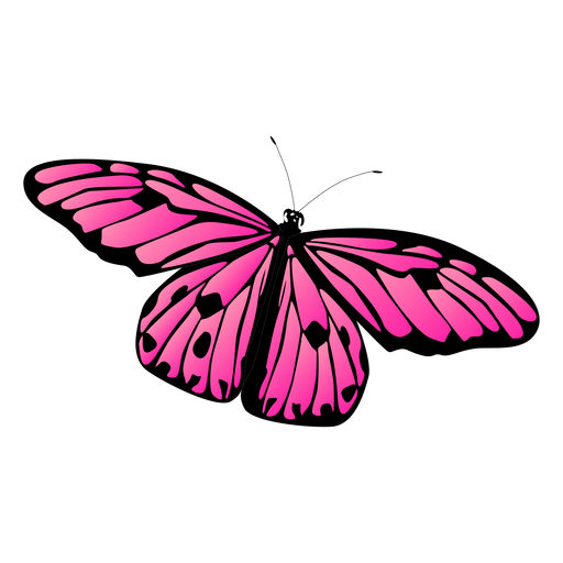 Borboleta de vetor detalhada borboleta rosa