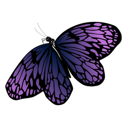 Desenho detalhado de borboleta roxa Transparent PNG