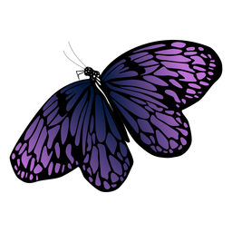 Free Free Butterfly Purple Svg 179 SVG PNG EPS DXF File