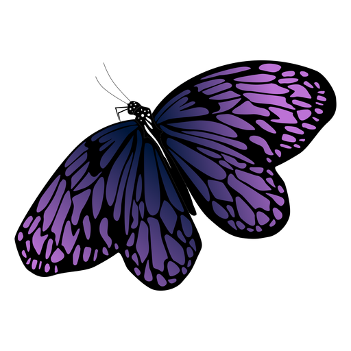 Desenho detalhado de borboleta roxa