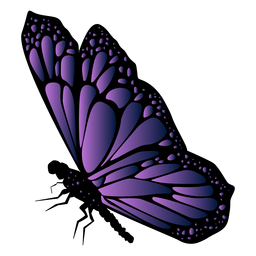Detailed violet butterfly icon Detailed violet butterfly icon