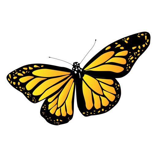 Detailed yellow garden butterfly - Transparent PNG & SVG ...