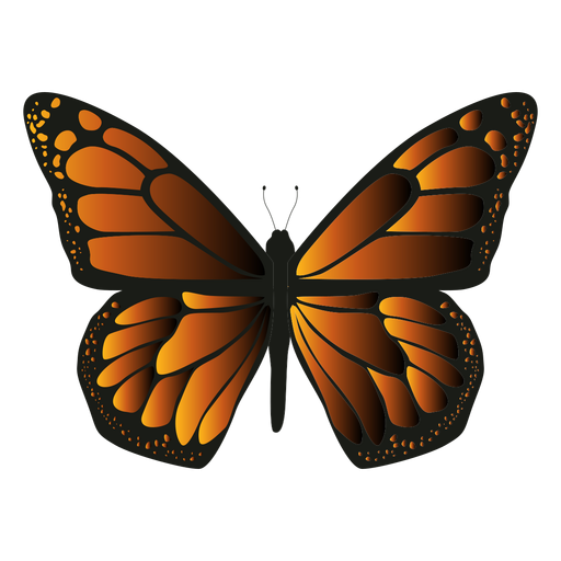 Monarch butterfly icon butterfly