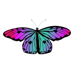 Diseño de mariposa multicolor Diseño PNG