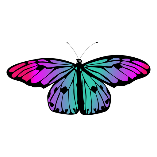 Desenho de borboleta multicolorida Desenho PNG
