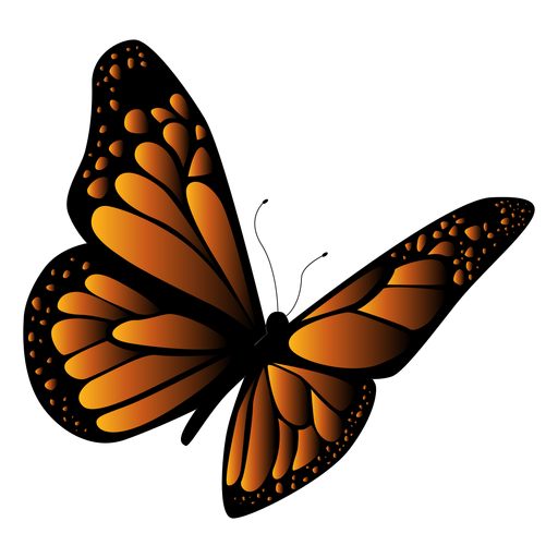 Vetor de borboleta laranja e preto Desenho PNG