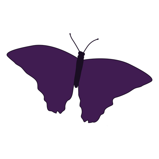 Patterned wing butterfly icon
