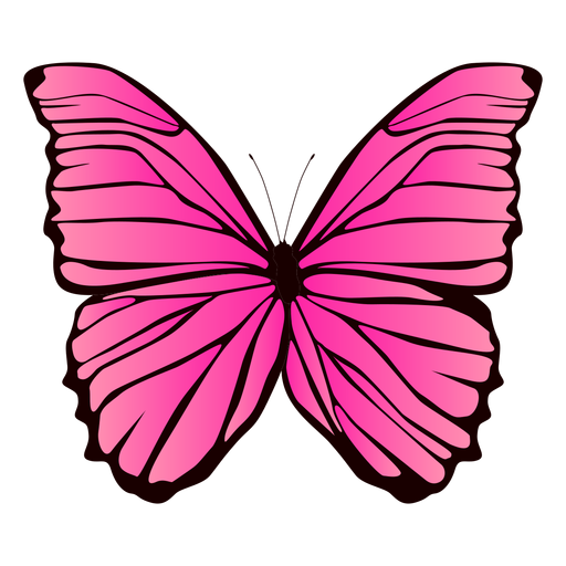 Desenho de borboleta rosa Desenho PNG