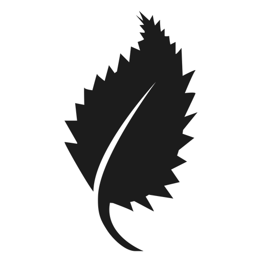 Pointed sides leaf icon PNG Design