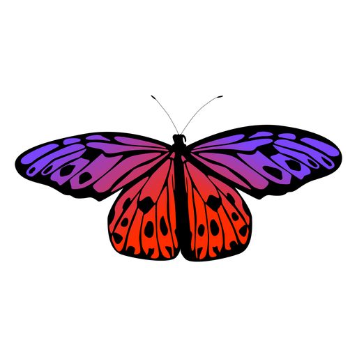 Diseño de mariposa morada y naranja Diseño PNG