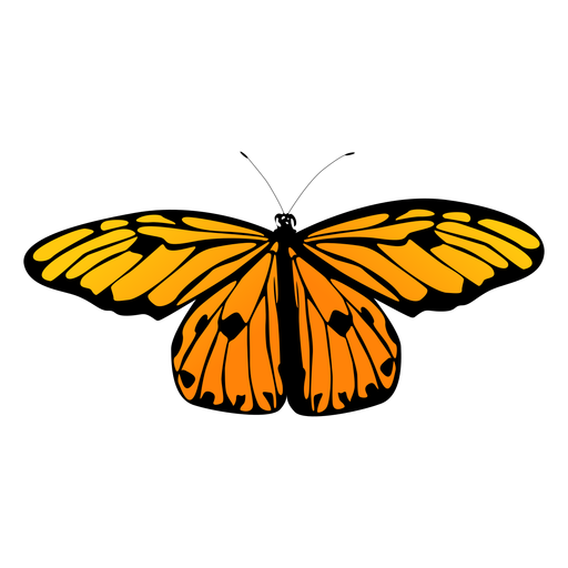 Kleiner orange Schmetterlingsvektor PNG-Design