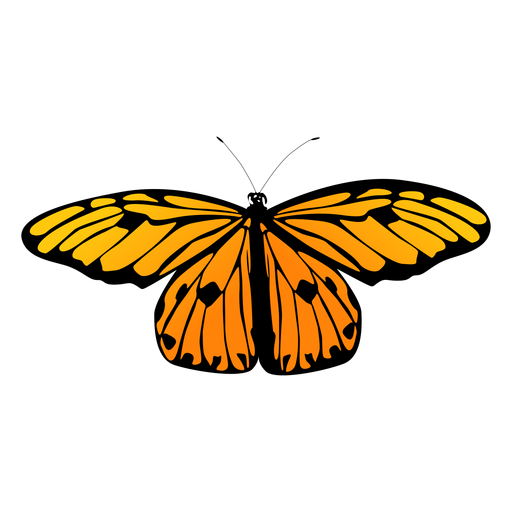 Free Free Transparent Butterfly Svg Free 57 SVG PNG EPS DXF File