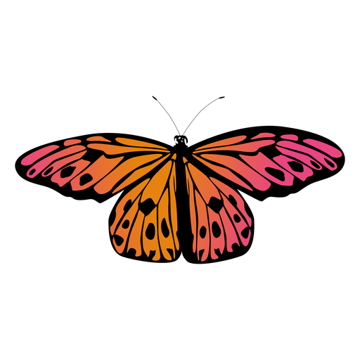 Free Free 259 Orange Butterfly Svg SVG PNG EPS DXF File