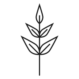 Subulate leaves icon PNG Design