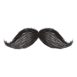 O ícone de pincelada de estilo magnum Desenho PNG