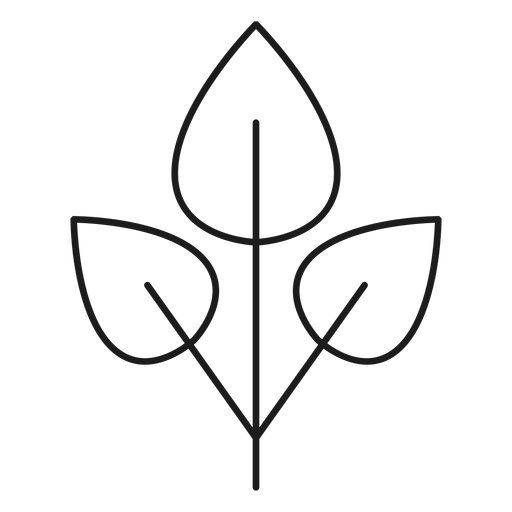 Tres hojas en un icono de rama Diseño PNG