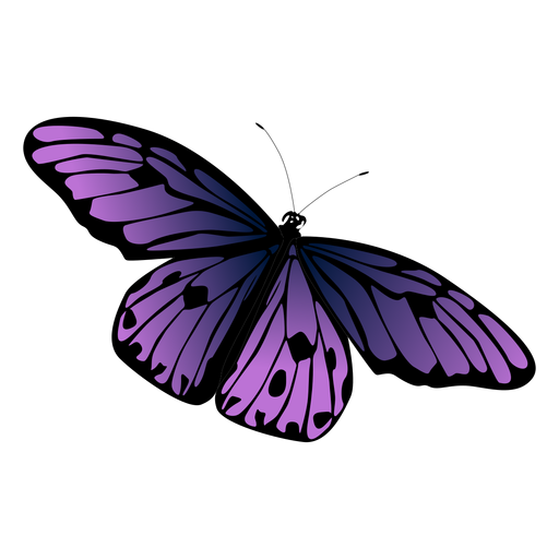 Free Free 319 Transparent Butterfly Svg Free SVG PNG EPS DXF File