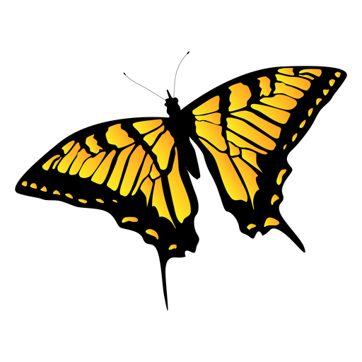 Free Free 105 Butterfly Svg Transparent SVG PNG EPS DXF File