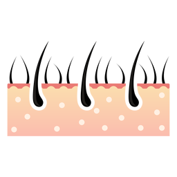 Icono de cabello anatómico Diseño PNG