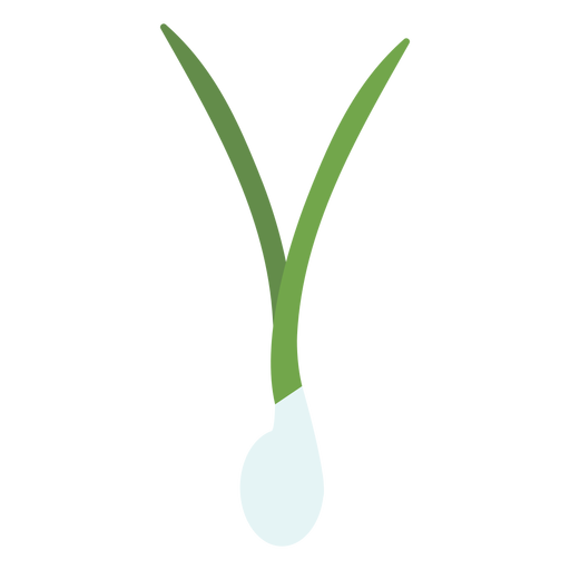 Green onion design element
