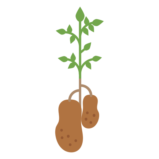 Elemento de design de planta de batata