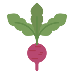 Elemento de design de rabanete Desenho PNG