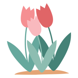 Tulip flowers element Tulip flowers element