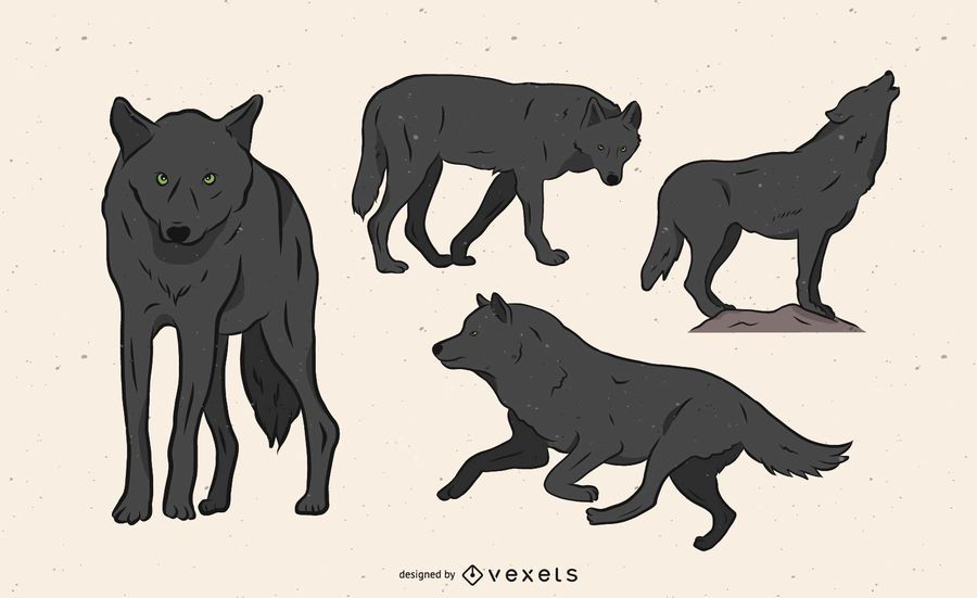 Ilustración de lobo en varias poses. Ilustración de lobo en varias poses.
