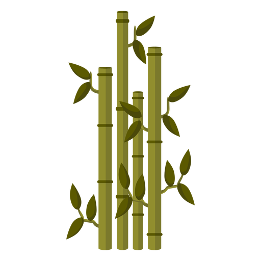 Bamboo stem illustration