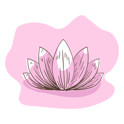 Lotus-Abbildung Lotus-Abbildung