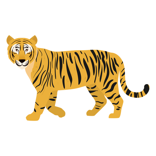 Tiger illustration cat PNG Design