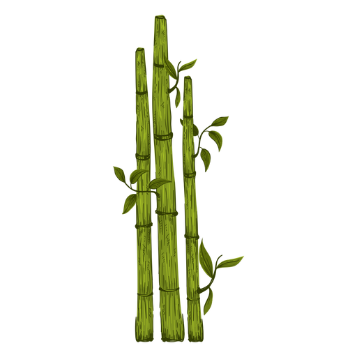 Ilustración de planta de bambú Diseño PNG