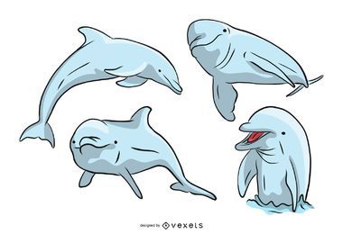 Bottlenose Dolphin Set Bottlenose Dolphin Set
