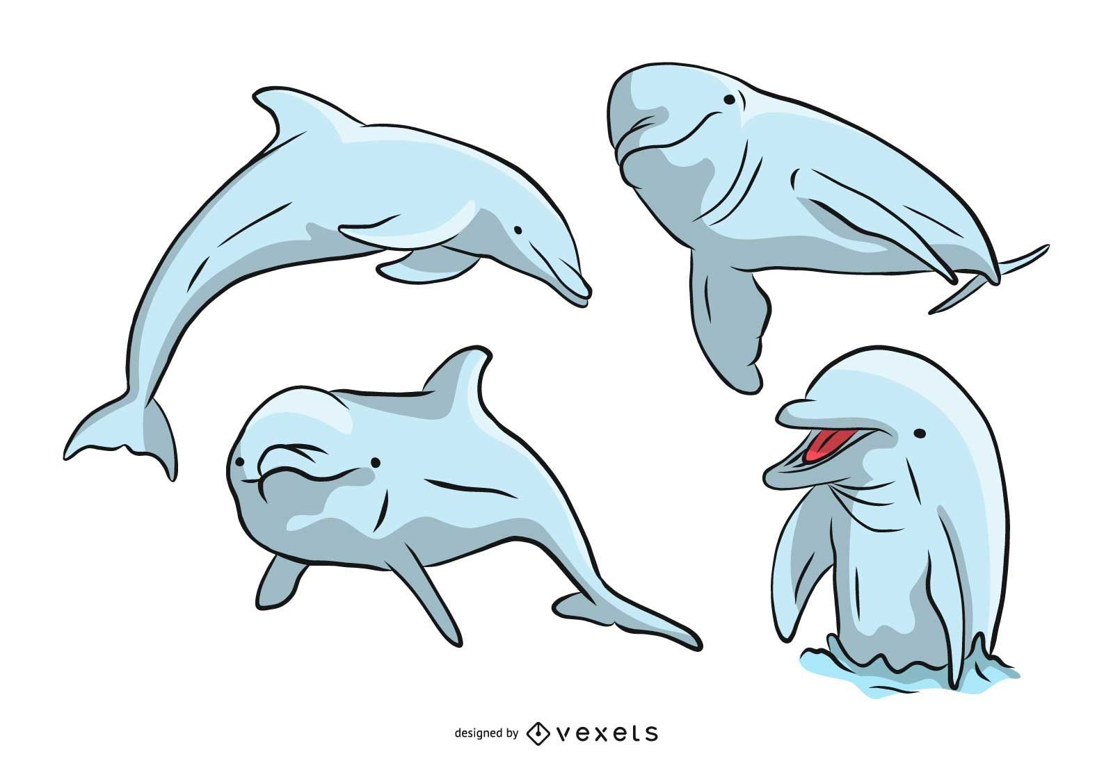 Conjunto golfinho-nariz-de-garrafa
