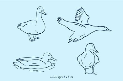 Conjunto de ilustración vectorial pato Conjunto de ilustración vectorial pato
