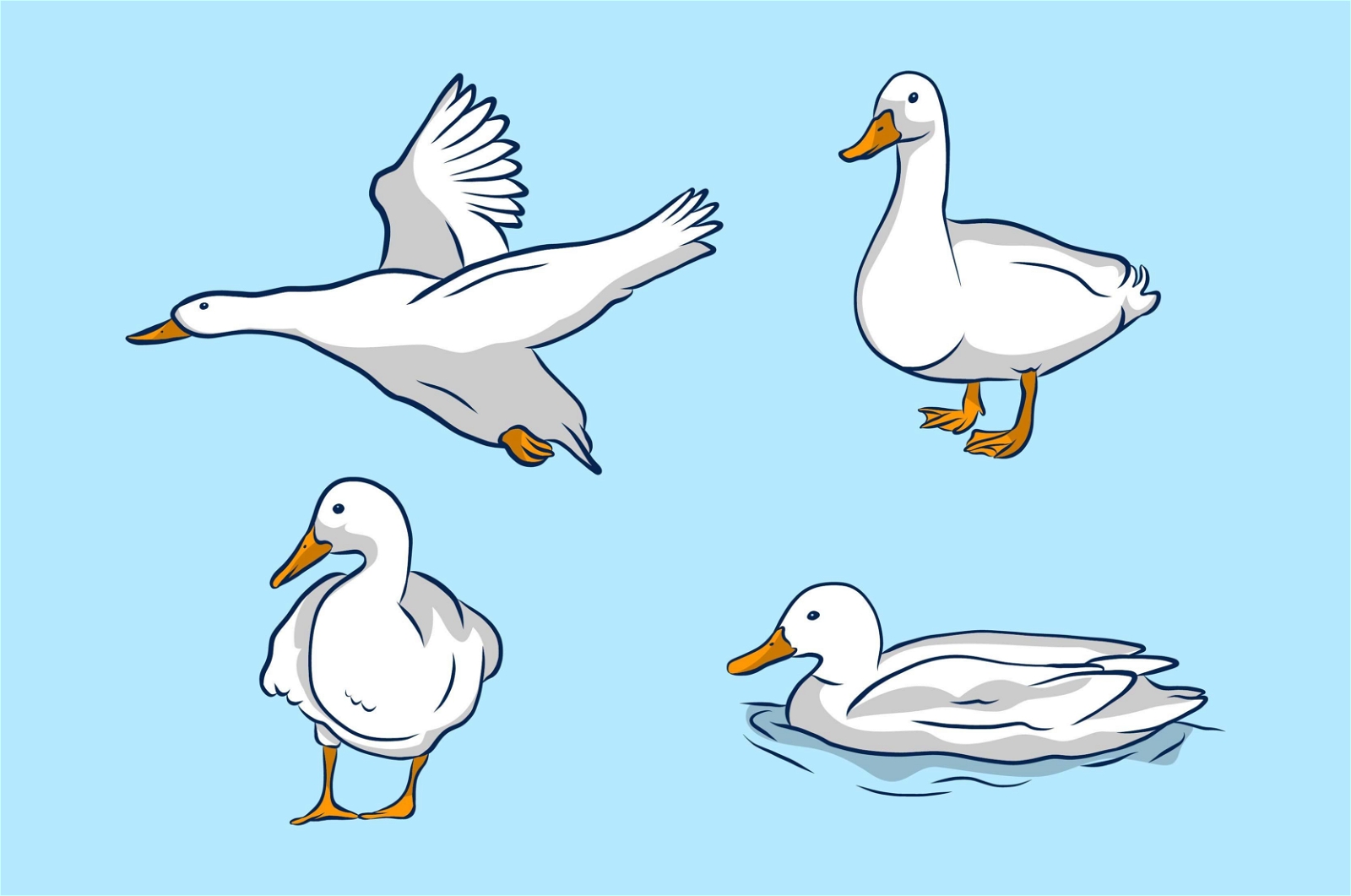 White Duck Illustration Set