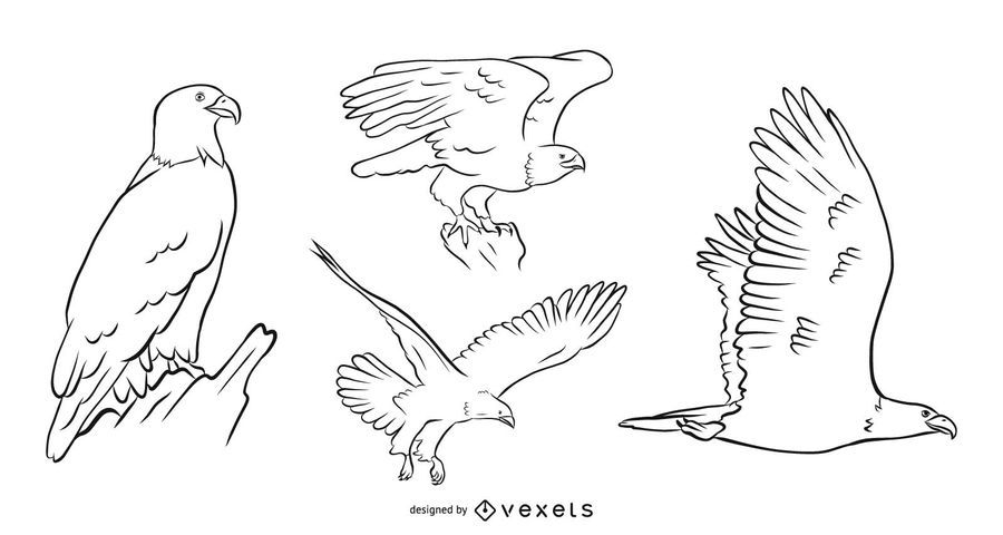 Eagle Vector Set Eagle Vector Set