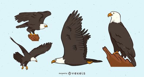 Conjunto de vectores de águila calva Conjunto de vectores de águila calva
