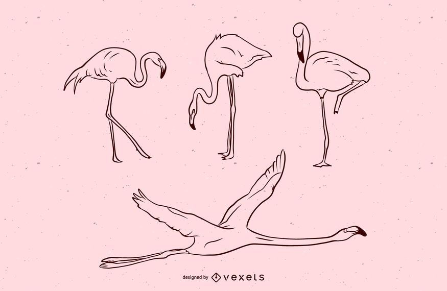 Flamingo-Anschlag-Illustrations-Satz Flamingo-Anschlag-Illustrations-Satz