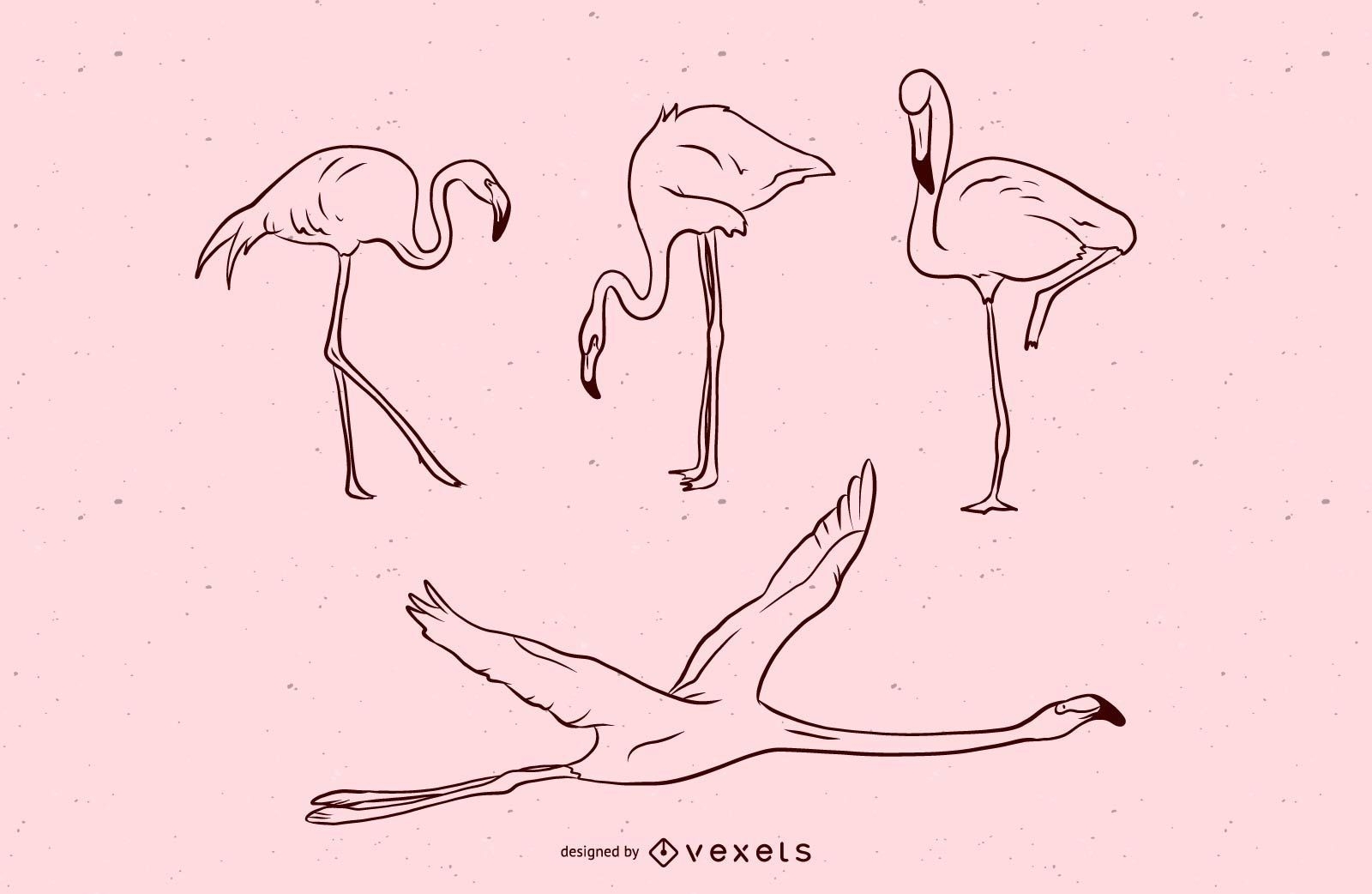 Flamingo-Strich-Illustrationssatz