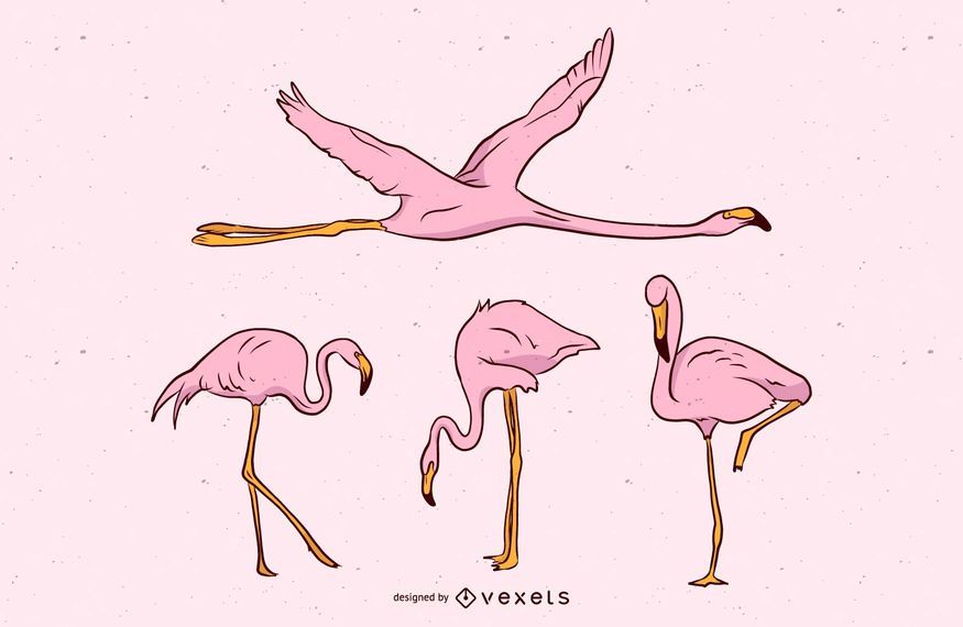 Pink Flamingo Vector Set Pink Flamingo Vector Set