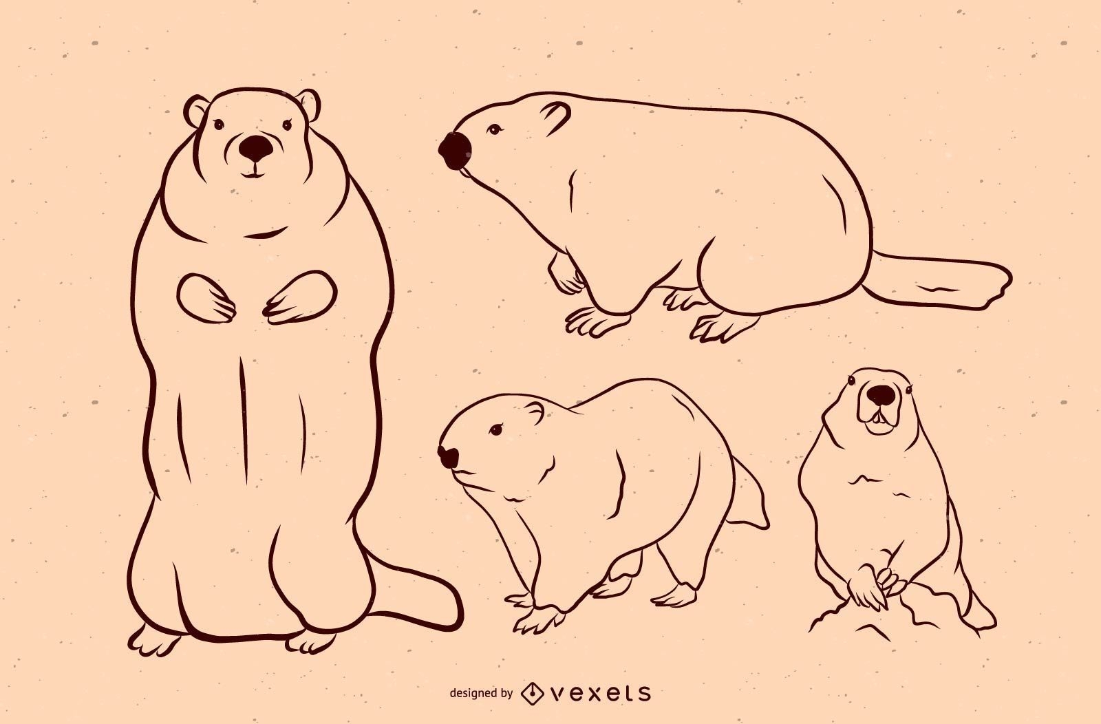 Conjunto de vetores de marmota